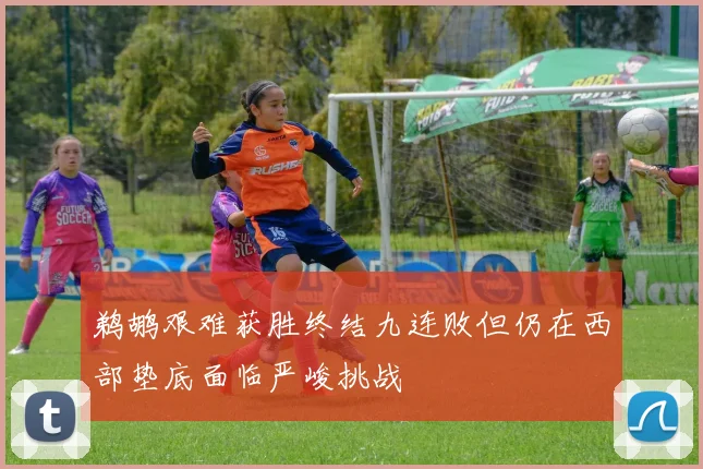 鹈鹕艰难获胜终结九连败但仍在西部垫底面临严峻挑战