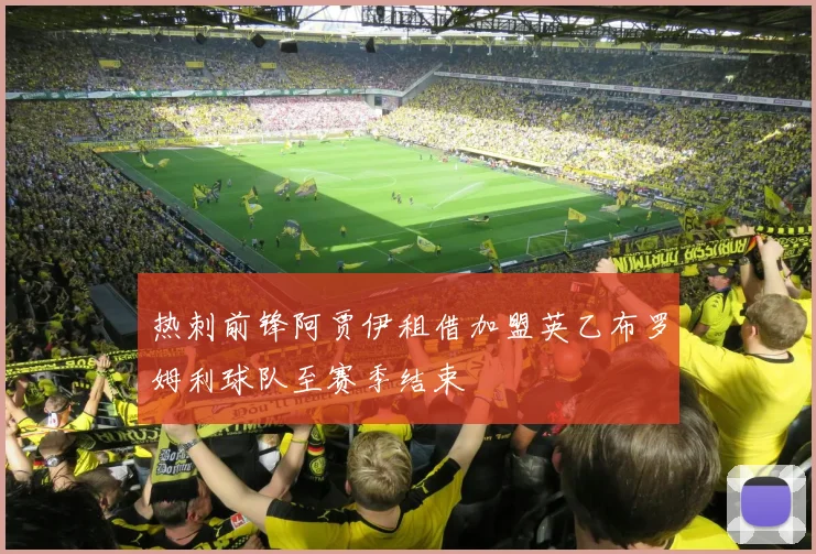 热刺前锋阿贾伊租借加盟英乙布罗姆利球队至赛季结束