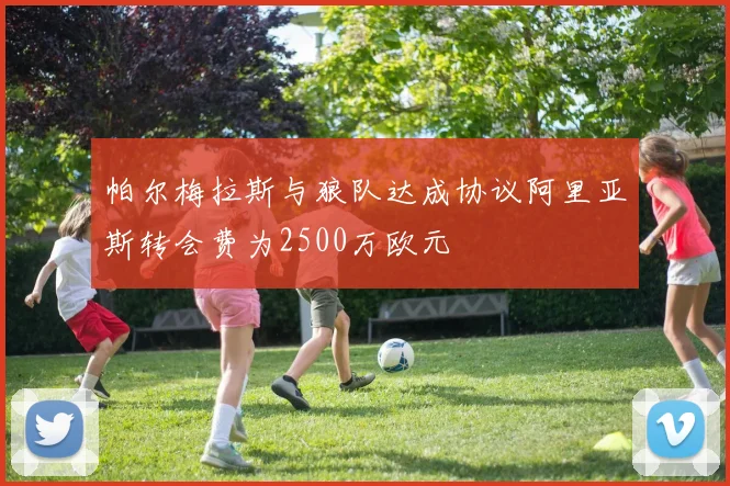 帕尔梅拉斯与狼队达成协议阿里亚斯转会费为2500万欧元