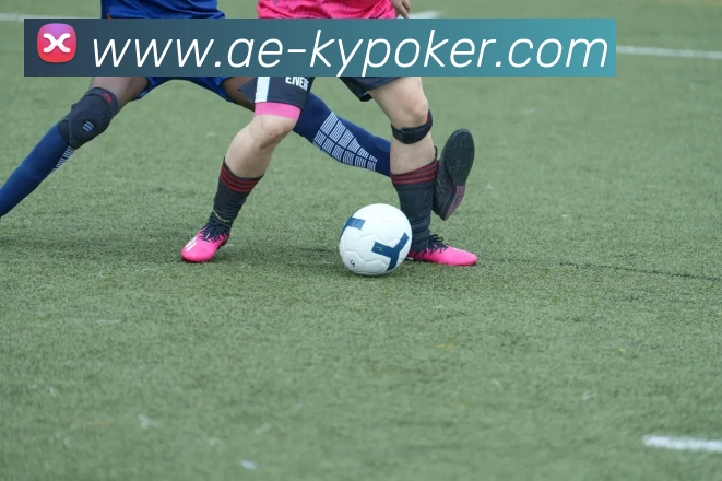 开云棋牌官网平台生态图