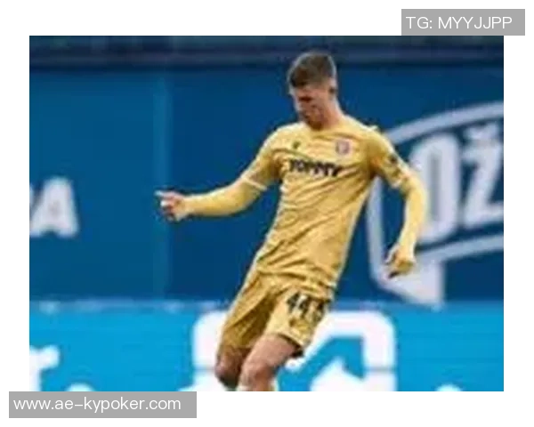 英媒称热刺小将武什科维奇外租汉堡表现优异助球队提升 英媒称热刺小将武什科维奇外租汉堡表现优异助球队提升